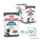 Royal Canin Intense Hairball pienso para gatos, , large image number null